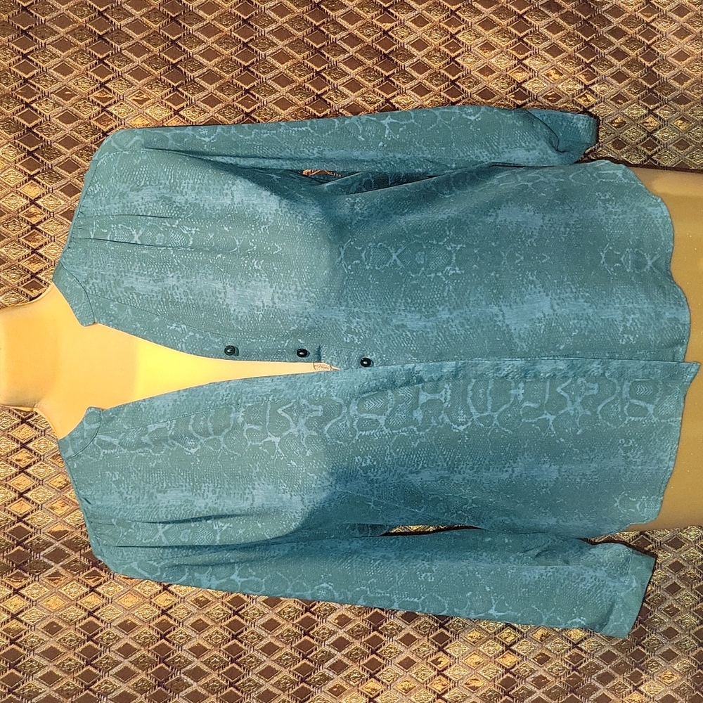 Rachel Zoe Teal Button-Down Blouse